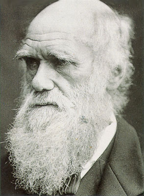 illustration for section: Charles Darwin