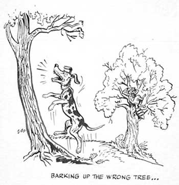 illustration for section: bark up the wrong tree