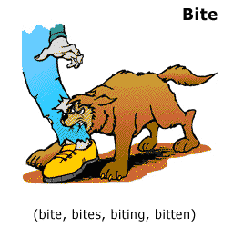 bite