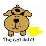 illustration for section: The cat did it!